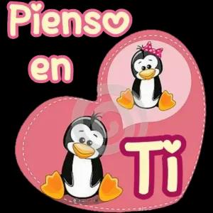 7fhqq6i