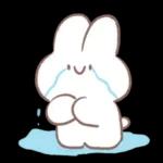 WWW
WWW
是時候認真
心