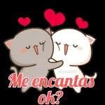 Bandiciones Lindo día