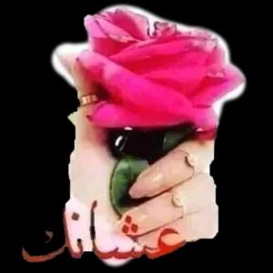 4ecygM