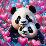 GOOD
NIGHT