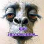 chisme