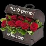 יאיר רומר כאור החמה