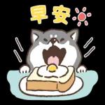 20
不懂哦
董
D