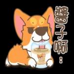 柯基犬椪椪懂吃懂吃！