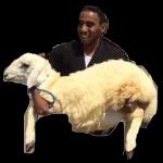 عيد سعيد