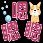 可愛柯基 大字超實用日常生活用語