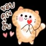 ตำแหน่งอยู่ไม่นาน