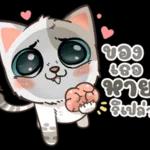 น้องมิน คาบรักมาฝาก