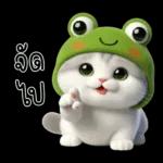 น่ารัก จัด