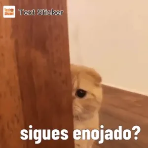 LkTNQV