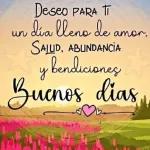 amor