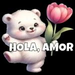 HOLA, AMOR