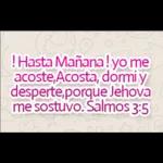 te de mate