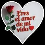 Eres el amor de mi vida
