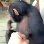 STAR WARS A NEW HOPE