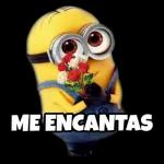 no me quiero ir 