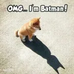 Funny things like this