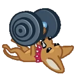 سن ابتسامتك أجمل ابتسامة في العالم