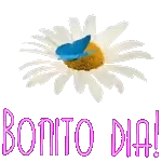 Bonito Dia!