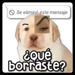 ¿Qué borraste? - getsticker.com