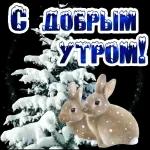 доброе утро