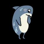 阿鯊不嚕-動態日常