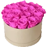 12.29الملصقات الموصى بها