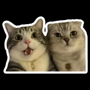 getsticker.com