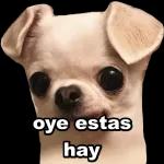 ¿Adónde vamos rey?