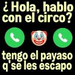 graciosas pegatinas