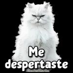 que interesante