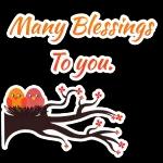 Enjoy your last day of February 🥰