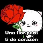 05.02 Pegatinas recomendadas