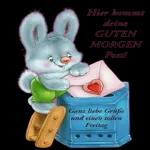 Tägliche Grüße🌹