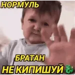 спишь?