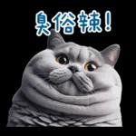 起肖貓貓★台語卡唬爛!