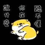 SHIBANBAN微笑柴犬-寶寶逃避現實