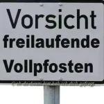 Ich werfe mal ein Hallo in die Runde!