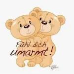 Bear's expressiepakket