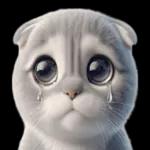 折耳貓貓 ❤ 給你一個讚 ❤