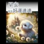 瑪爾濟斯小狗對你說早安40大貼圖-3