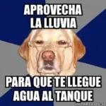 jjjj