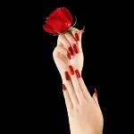 Lieben❤️❤️❤️