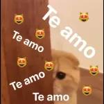 Te amo Te amo Te amo Te amo Te amo