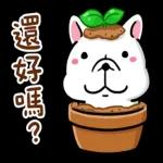 豆卡頻道x性平協會 陪你說出心裡話