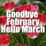 bye February hello March 2