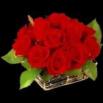 I love you