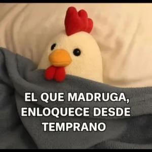 Aj8mGo