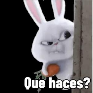 Que haces? - getsticker.com